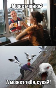 50 оригинальных подарков для тех, кто любит птиц