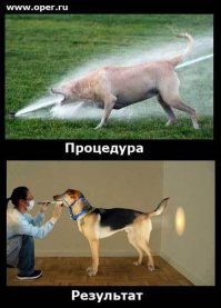 Картинки со смешными подписями