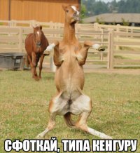 Картинки со смешными подписями