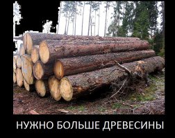 Ну написано Wood ( дерево ) - что они  этим хотят сказать ?