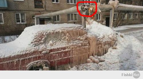 Машинку конечно жалко,но ведь я так посмотрю и дом остался без отопления зимой...не ну конечно по ежегодным заявлениям жкх укх и т.д. что каждый год зима в России наступает внезапно,снег и холод большая редкость в России,но все равно прохладно без отопления...