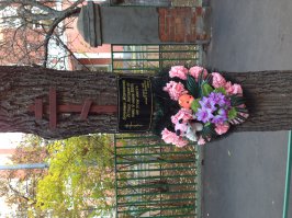 печальная история. вчера был в доме на кутузовском, во дворе увидел и завис...