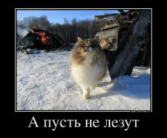 Известная девочка-поджигательница тогда и сейчас