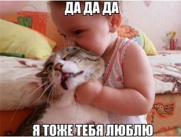 Дети и кошки