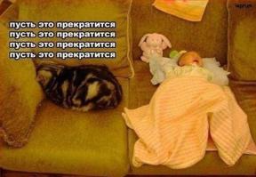 Дети и кошки