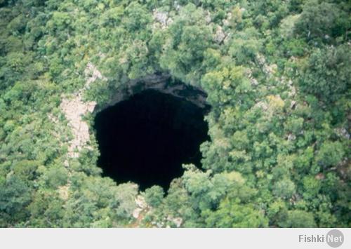 Пещера Ласточек, Мексика. Глубина пещеры - до 376 метров.
