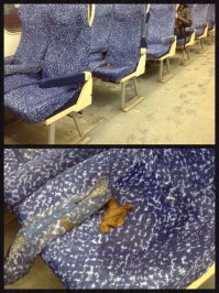 Подмосковные электрички тоже имеют вагоны тишины :)