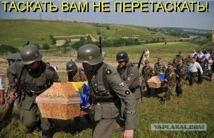 В Донбассе идёт уже почти год выставка " Фашизма нет на Украине "