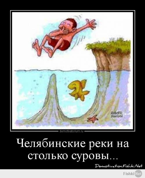 Подборка видео от 06.02.2014