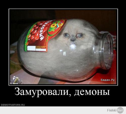 Кото-пост