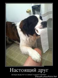 Фишкина солянка за 04.06.2014