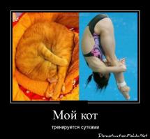 Фишкина солянка за 04.06.2014