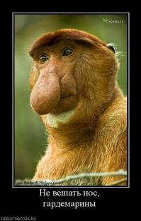 Фишкина солянка за 10.06.2014