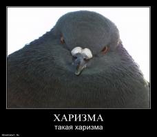 Такое возможно только в России