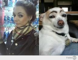 Фишкина солянка за 24.06.2014