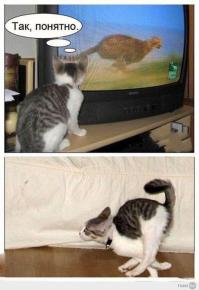 Фишкина солянка за 24.06.2014