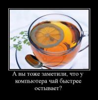 Фишкина солянка за 27.06.2014 