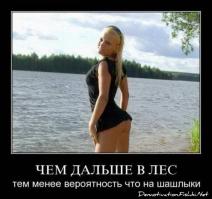 Фишкина солянка за 29.06.2014