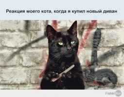 Фишкина солянка за 02.07.2014 