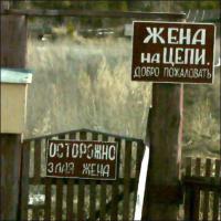 Маразмы месяца