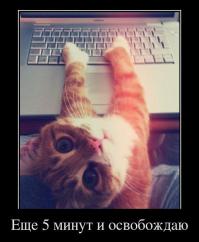 Смешные картинки с подписями