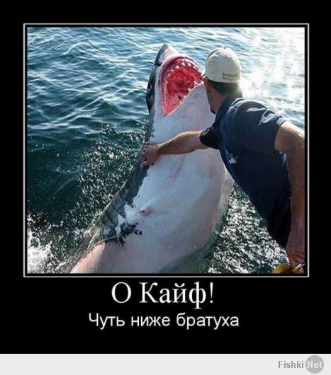 Фишкина солянка за 05.07.2014