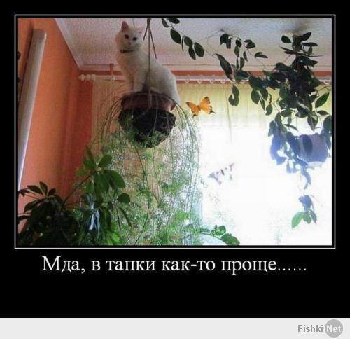 Фишкина солянка за 05.07.2014