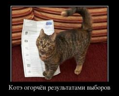 Фишкина солянка за 05.07.2014