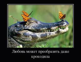 Фишкина солянка за 05.07.2014