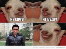 Фишкина солянка за 18.07.2014