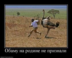 Фишкина солянка за 18.07.2014