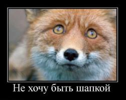 Обман зрения