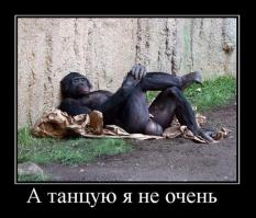 Картинки со смешными подписями