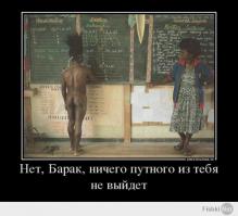 Макадамс: события в Гонконге происходят по шаблону Украины и Сирии