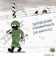 Фишкина солянка за 09.11.2014