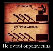 У начальников, которые такое выдумывают, много времени, чтобы пофантазировать со скуки. Просиживая дни напролёт в своём кабинете и смотря на сервант с подарочным коньяком всегда такая ересь в голову приходит.