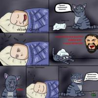 Правила хорошего кота