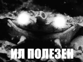 Матамата – обжора из Южной Америки