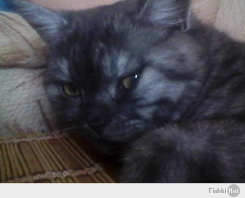 я немного стесняюсь...