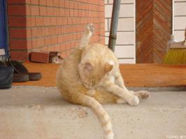 Очень полезное занятие.