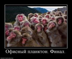 Так они обычные офисные мартышки, у них есть только чувство времени- опоздал, обед и скоро домой.