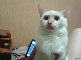 А я вчерась видел номер Е179УЕ 24rus и ни чё, пережил!