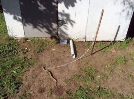 Неприятный утренний сюрприз