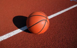 Надо было бросить игрушку, например мяч.