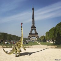 Отфотошопьте мою фотографию