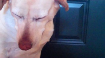 да и фиг с ней, с дверью.как на таких можно злиться?)