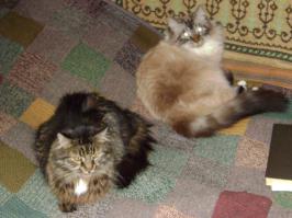 эх, не удержусь. Вот мои два позитивчика