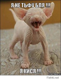 навеяло ))))))