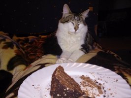 И отказывается кушать тортик. А для него был выделен самый большой кусок.