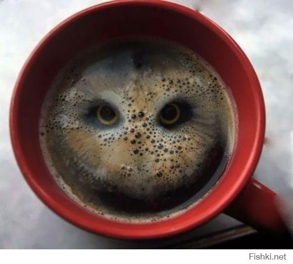 Чашечку кофе?